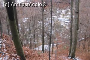 [P19] Coborâm pe Drumul Mănăstirii Jgheaburi, printre copaci se zărește mănăstirea... » foto by mprofeanu
 - 
<span class="allrVoted glyphicon glyphicon-heart hidden" id="av1404041"></span>
<a class="m-l-10 hidden" id="sv1404041" onclick="voting_Foto_DelVot(,1404041,28367)" role="button">șterge vot <span class="glyphicon glyphicon-remove"></span></a>
<a id="v91404041" class=" c-red"  onclick="voting_Foto_SetVot(1404041)" role="button"><span class="glyphicon glyphicon-heart-empty"></span> <b>LIKE</b> = Votează poza</a> <img class="hidden"  id="f1404041W9" src="/imagini/loader.gif" border="0" /><span class="AjErrMes hidden" id="e1404041ErM"></span>