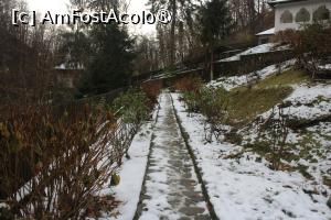 [P30] Mănăstirea Jgheaburi, Aleea ce merge la Bisericuță... » foto by mprofeanu
 - 
<span class="allrVoted glyphicon glyphicon-heart hidden" id="av1404052"></span>
<a class="m-l-10 hidden" id="sv1404052" onclick="voting_Foto_DelVot(,1404052,28367)" role="button">șterge vot <span class="glyphicon glyphicon-remove"></span></a>
<a id="v91404052" class=" c-red"  onclick="voting_Foto_SetVot(1404052)" role="button"><span class="glyphicon glyphicon-heart-empty"></span> <b>LIKE</b> = Votează poza</a> <img class="hidden"  id="f1404052W9" src="/imagini/loader.gif" border="0" /><span class="AjErrMes hidden" id="e1404052ErM"></span>