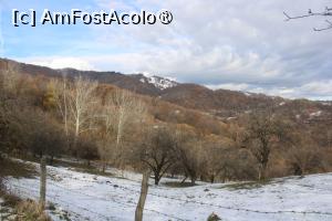 [P06] Combinație de alb cu ruginiu, cenușiu și ceva verde &icirc;n pădurea de l&acirc;ngă Mănăstirea Jgheaburi » foto by mprofeanu
 - 
<span class="allrVoted glyphicon glyphicon-heart hidden" id="av1404028"></span>
<a class="m-l-10 hidden" id="sv1404028" onclick="voting_Foto_DelVot(,1404028,28367)" role="button">șterge vot <span class="glyphicon glyphicon-remove"></span></a>
<a id="v91404028" class=" c-red"  onclick="voting_Foto_SetVot(1404028)" role="button"><span class="glyphicon glyphicon-heart-empty"></span> <b>LIKE</b> = Votează poza</a> <img class="hidden"  id="f1404028W9" src="/imagini/loader.gif" border="0" /><span class="AjErrMes hidden" id="e1404028ErM"></span>