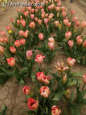 [P09]  -- <small>// FĂRĂ DESCRIERE</small> » foto by Cristian_h
 - 
<span class="allrVoted glyphicon glyphicon-heart hidden" id="av1518640"></span>
<a class="m-l-10 hidden" id="sv1518640" onclick="voting_Foto_DelVot(,1518640,28416)" role="button">șterge vot <span class="glyphicon glyphicon-remove"></span></a>
<a id="v91518640" class=" c-red"  onclick="voting_Foto_SetVot(1518640)" role="button"><span class="glyphicon glyphicon-heart-empty"></span> <b>LIKE</b> = Votează poza</a> <img class="hidden"  id="f1518640W9" src="/imagini/loader.gif" border="0" /><span class="AjErrMes hidden" id="e1518640ErM"></span>