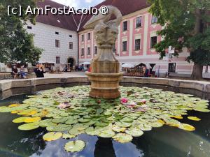 [P35] Castelul Trebon » foto by crismis
 - 
<span class="allrVoted glyphicon glyphicon-heart hidden" id="av1409820"></span>
<a class="m-l-10 hidden" id="sv1409820" onclick="voting_Foto_DelVot(,1409820,28420)" role="button">șterge vot <span class="glyphicon glyphicon-remove"></span></a>
<a id="v91409820" class=" c-red"  onclick="voting_Foto_SetVot(1409820)" role="button"><span class="glyphicon glyphicon-heart-empty"></span> <b>LIKE</b> = Votează poza</a> <img class="hidden"  id="f1409820W9" src="/imagini/loader.gif" border="0" /><span class="AjErrMes hidden" id="e1409820ErM"></span>