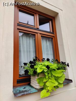 [P34] Tabor; petunii negre la fereastră » foto by crismis
 - 
<span class="allrVoted glyphicon glyphicon-heart hidden" id="av1412138"></span>
<a class="m-l-10 hidden" id="sv1412138" onclick="voting_Foto_DelVot(,1412138,28420)" role="button">șterge vot <span class="glyphicon glyphicon-remove"></span></a>
<a id="v91412138" class=" c-red"  onclick="voting_Foto_SetVot(1412138)" role="button"><span class="glyphicon glyphicon-heart-empty"></span> <b>LIKE</b> = Votează poza</a> <img class="hidden"  id="f1412138W9" src="/imagini/loader.gif" border="0" /><span class="AjErrMes hidden" id="e1412138ErM"></span>