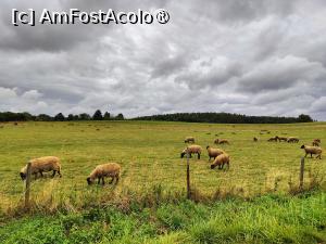 [P58] Din mersul mașinii, prin Boemia Inferioară » foto by crismis
 - 
<span class="allrVoted glyphicon glyphicon-heart hidden" id="av1412162"></span>
<a class="m-l-10 hidden" id="sv1412162" onclick="voting_Foto_DelVot(,1412162,28420)" role="button">șterge vot <span class="glyphicon glyphicon-remove"></span></a>
<a id="v91412162" class=" c-red"  onclick="voting_Foto_SetVot(1412162)" role="button"><span class="glyphicon glyphicon-heart-empty"></span> <b>LIKE</b> = Votează poza</a> <img class="hidden"  id="f1412162W9" src="/imagini/loader.gif" border="0" /><span class="AjErrMes hidden" id="e1412162ErM"></span>