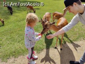 [P77] Castelul Blatna; la plimbare prin parc » foto by crismis
 - 
<span class="allrVoted glyphicon glyphicon-heart hidden" id="av1412181"></span>
<a class="m-l-10 hidden" id="sv1412181" onclick="voting_Foto_DelVot(,1412181,28420)" role="button">șterge vot <span class="glyphicon glyphicon-remove"></span></a>
<a id="v91412181" class=" c-red"  onclick="voting_Foto_SetVot(1412181)" role="button"><span class="glyphicon glyphicon-heart-empty"></span> <b>LIKE</b> = Votează poza</a> <img class="hidden"  id="f1412181W9" src="/imagini/loader.gif" border="0" /><span class="AjErrMes hidden" id="e1412181ErM"></span>