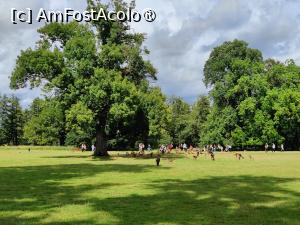 [P80] Castelul Blatna; la plimbare prin parc » foto by crismis
 - 
<span class="allrVoted glyphicon glyphicon-heart hidden" id="av1412184"></span>
<a class="m-l-10 hidden" id="sv1412184" onclick="voting_Foto_DelVot(,1412184,28420)" role="button">șterge vot <span class="glyphicon glyphicon-remove"></span></a>
<a id="v91412184" class=" c-red"  onclick="voting_Foto_SetVot(1412184)" role="button"><span class="glyphicon glyphicon-heart-empty"></span> <b>LIKE</b> = Votează poza</a> <img class="hidden"  id="f1412184W9" src="/imagini/loader.gif" border="0" /><span class="AjErrMes hidden" id="e1412184ErM"></span>