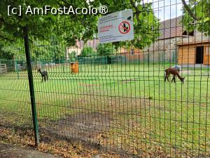[P82] Castelul Blatna; la plimbare prin parc » foto by crismis
 - 
<span class="allrVoted glyphicon glyphicon-heart hidden" id="av1412186"></span>
<a class="m-l-10 hidden" id="sv1412186" onclick="voting_Foto_DelVot(,1412186,28420)" role="button">șterge vot <span class="glyphicon glyphicon-remove"></span></a>
<a id="v91412186" class=" c-red"  onclick="voting_Foto_SetVot(1412186)" role="button"><span class="glyphicon glyphicon-heart-empty"></span> <b>LIKE</b> = Votează poza</a> <img class="hidden"  id="f1412186W9" src="/imagini/loader.gif" border="0" /><span class="AjErrMes hidden" id="e1412186ErM"></span>
