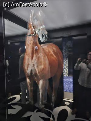 [P16] In lift ...cu calul. » foto by DOINITA
 - 
<span class="allrVoted glyphicon glyphicon-heart hidden" id="av1411036"></span>
<a class="m-l-10 hidden" id="sv1411036" onclick="voting_Foto_DelVot(,1411036,28436)" role="button">șterge vot <span class="glyphicon glyphicon-remove"></span></a>
<a id="v91411036" class=" c-red"  onclick="voting_Foto_SetVot(1411036)" role="button"><span class="glyphicon glyphicon-heart-empty"></span> <b>LIKE</b> = Votează poza</a> <img class="hidden"  id="f1411036W9" src="/imagini/loader.gif" border="0" /><span class="AjErrMes hidden" id="e1411036ErM"></span>