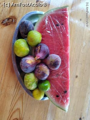 [P01] Acestă gustare pregătită de tanti Aleka ne astepta pe masa din bucătărie » foto by baby eyes
 - 
<span class="allrVoted glyphicon glyphicon-heart hidden" id="av1412517"></span>
<a class="m-l-10 hidden" id="sv1412517" onclick="voting_Foto_DelVot(,1412517,28443)" role="button">șterge vot <span class="glyphicon glyphicon-remove"></span></a>
<a id="v91412517" class=" c-red"  onclick="voting_Foto_SetVot(1412517)" role="button"><span class="glyphicon glyphicon-heart-empty"></span> <b>LIKE</b> = Votează poza</a> <img class="hidden"  id="f1412517W9" src="/imagini/loader.gif" border="0" /><span class="AjErrMes hidden" id="e1412517ErM"></span>