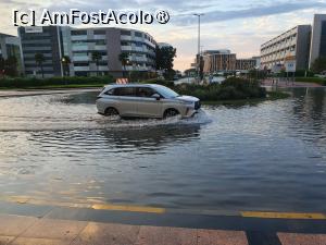 [P11] Imprejurimile hotelului dupa o ploaie, deoarece nu exista canalizare » foto by dianamea
 - 
<span class="allrVoted glyphicon glyphicon-heart hidden" id="av1417601"></span>
<a class="m-l-10 hidden" id="sv1417601" onclick="voting_Foto_DelVot(,1417601,28491)" role="button">șterge vot <span class="glyphicon glyphicon-remove"></span></a>
<a id="v91417601" class=" c-red"  onclick="voting_Foto_SetVot(1417601)" role="button"><span class="glyphicon glyphicon-heart-empty"></span> <b>LIKE</b> = Votează poza</a> <img class="hidden"  id="f1417601W9" src="/imagini/loader.gif" border="0" /><span class="AjErrMes hidden" id="e1417601ErM"></span>