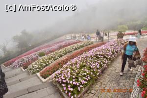 [P20] Vietnam - Da Nang , Ba Na Hills » foto by Pușcașu Marin
 - 
<span class="allrVoted glyphicon glyphicon-heart hidden" id="av1421064"></span>
<a class="m-l-10 hidden" id="sv1421064" onclick="voting_Foto_DelVot(,1421064,28508)" role="button">șterge vot <span class="glyphicon glyphicon-remove"></span></a>
<a id="v91421064" class=" c-red"  onclick="voting_Foto_SetVot(1421064)" role="button"><span class="glyphicon glyphicon-heart-empty"></span> <b>LIKE</b> = Votează poza</a> <img class="hidden"  id="f1421064W9" src="/imagini/loader.gif" border="0" /><span class="AjErrMes hidden" id="e1421064ErM"></span>