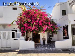 [P17] Mykonos, imagine emblematică » foto by crismis
 - 
<span class="allrVoted glyphicon glyphicon-heart hidden" id="av1421342"></span>
<a class="m-l-10 hidden" id="sv1421342" onclick="voting_Foto_DelVot(,1421342,28509)" role="button">șterge vot <span class="glyphicon glyphicon-remove"></span></a>
<a id="v91421342" class=" c-red"  onclick="voting_Foto_SetVot(1421342)" role="button"><span class="glyphicon glyphicon-heart-empty"></span> <b>LIKE</b> = Votează poza</a> <img class="hidden"  id="f1421342W9" src="/imagini/loader.gif" border="0" /><span class="AjErrMes hidden" id="e1421342ErM"></span>