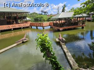 [P05] restaurantul cu crocodili » foto by robert
 - 
<span class="allrVoted glyphicon glyphicon-heart hidden" id="av1422714"></span>
<a class="m-l-10 hidden" id="sv1422714" onclick="voting_Foto_DelVot(,1422714,28514)" role="button">șterge vot <span class="glyphicon glyphicon-remove"></span></a>
<a id="v91422714" class=" c-red"  onclick="voting_Foto_SetVot(1422714)" role="button"><span class="glyphicon glyphicon-heart-empty"></span> <b>LIKE</b> = Votează poza</a> <img class="hidden"  id="f1422714W9" src="/imagini/loader.gif" border="0" /><span class="AjErrMes hidden" id="e1422714ErM"></span>