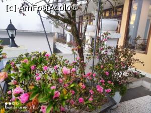[P17] Pe terasa aferentă restaurantului De Chapa » foto by Pușcașu Marin
 - 
<span class="allrVoted glyphicon glyphicon-heart hidden" id="av1423489"></span>
<a class="m-l-10 hidden" id="sv1423489" onclick="voting_Foto_DelVot(,1423489,28521)" role="button">șterge vot <span class="glyphicon glyphicon-remove"></span></a>
<a id="v91423489" class=" c-red"  onclick="voting_Foto_SetVot(1423489)" role="button"><span class="glyphicon glyphicon-heart-empty"></span> <b>LIKE</b> = Votează poza</a> <img class="hidden"  id="f1423489W9" src="/imagini/loader.gif" border="0" /><span class="AjErrMes hidden" id="e1423489ErM"></span>