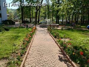[P14] Alee în parc » foto by Marius 72
 - 
<span class="allrVoted glyphicon glyphicon-heart hidden" id="av1423648"></span>
<a class="m-l-10 hidden" id="sv1423648" onclick="voting_Foto_DelVot(,1423648,28524)" role="button">șterge vot <span class="glyphicon glyphicon-remove"></span></a>
<a id="v91423648" class=" c-red"  onclick="voting_Foto_SetVot(1423648)" role="button"><span class="glyphicon glyphicon-heart-empty"></span> <b>LIKE</b> = Votează poza</a> <img class="hidden"  id="f1423648W9" src="/imagini/loader.gif" border="0" /><span class="AjErrMes hidden" id="e1423648ErM"></span>