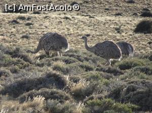 [P11] cu greu am pozat si nandu » foto by robert
 - 
<span class="allrVoted glyphicon glyphicon-heart hidden" id="av1020927"></span>
<a class="m-l-10 hidden" id="sv1020927" onclick="voting_Foto_DelVot(,1020927,28528)" role="button">șterge vot <span class="glyphicon glyphicon-remove"></span></a>
<a id="v91020927" class=" c-red"  onclick="voting_Foto_SetVot(1020927)" role="button"><span class="glyphicon glyphicon-heart-empty"></span> <b>LIKE</b> = Votează poza</a> <img class="hidden"  id="f1020927W9" src="/imagini/loader.gif" border="0" /><span class="AjErrMes hidden" id="e1020927ErM"></span>