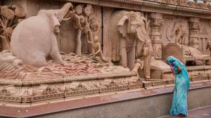 [P21] Templul Akshardham,detaliu statui din grădini » foto by AZE <span class="label label-default labelC_thin small">NEVOTABILĂ</span>