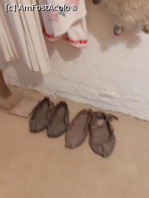 [P23] Târlici de piele » foto by Michi
 - 
<span class="allrVoted glyphicon glyphicon-heart hidden" id="av1429808"></span>
<a class="m-l-10 hidden" id="sv1429808" onclick="voting_Foto_DelVot(,1429808,28578)" role="button">șterge vot <span class="glyphicon glyphicon-remove"></span></a>
<a id="v91429808" class=" c-red"  onclick="voting_Foto_SetVot(1429808)" role="button"><span class="glyphicon glyphicon-heart-empty"></span> <b>LIKE</b> = Votează poza</a> <img class="hidden"  id="f1429808W9" src="/imagini/loader.gif" border="0" /><span class="AjErrMes hidden" id="e1429808ErM"></span>