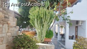 [P13] Sourmeli Garden Hotel - curtea » foto by Carmen Ion
 - 
<span class="allrVoted glyphicon glyphicon-heart hidden" id="av1430667"></span>
<a class="m-l-10 hidden" id="sv1430667" onclick="voting_Foto_DelVot(,1430667,28580)" role="button">șterge vot <span class="glyphicon glyphicon-remove"></span></a>
<a id="v91430667" class=" c-red"  onclick="voting_Foto_SetVot(1430667)" role="button"><span class="glyphicon glyphicon-heart-empty"></span> <b>LIKE</b> = Votează poza</a> <img class="hidden"  id="f1430667W9" src="/imagini/loader.gif" border="0" /><span class="AjErrMes hidden" id="e1430667ErM"></span>