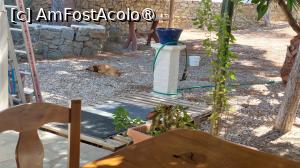 [P14] Sourmeli Garden Hotel - curtea și cățelul legat cu lanț » foto by Carmen Ion
 - 
<span class="allrVoted glyphicon glyphicon-heart hidden" id="av1430668"></span>
<a class="m-l-10 hidden" id="sv1430668" onclick="voting_Foto_DelVot(,1430668,28580)" role="button">șterge vot <span class="glyphicon glyphicon-remove"></span></a>
<a id="v91430668" class=" c-red"  onclick="voting_Foto_SetVot(1430668)" role="button"><span class="glyphicon glyphicon-heart-empty"></span> <b>LIKE</b> = Votează poza</a> <img class="hidden"  id="f1430668W9" src="/imagini/loader.gif" border="0" /><span class="AjErrMes hidden" id="e1430668ErM"></span>