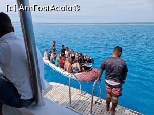 [P06] Cu pneumatica asta mergeau turiştii să înoate fix lângă delfinii, dar ţinta dispărea în nici 5 secunde » foto by aurel34
 - 
<span class="allrVoted glyphicon glyphicon-heart hidden" id="av1436546"></span>
<a class="m-l-10 hidden" id="sv1436546" onclick="voting_Foto_DelVot(,1436546,28628)" role="button">șterge vot <span class="glyphicon glyphicon-remove"></span></a>
<a id="v91436546" class=" c-red"  onclick="voting_Foto_SetVot(1436546)" role="button"><span class="glyphicon glyphicon-heart-empty"></span> <b>LIKE</b> = Votează poza</a> <img class="hidden"  id="f1436546W9" src="/imagini/loader.gif" border="0" /><span class="AjErrMes hidden" id="e1436546ErM"></span>