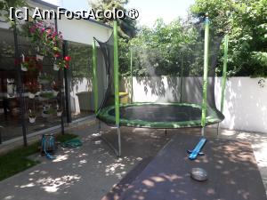 [P07] Trambulina. » foto by Safta Radu
 - 
<span class="allrVoted glyphicon glyphicon-heart hidden" id="av1437493"></span>
<a class="m-l-10 hidden" id="sv1437493" onclick="voting_Foto_DelVot(,1437493,28637)" role="button">șterge vot <span class="glyphicon glyphicon-remove"></span></a>
<a id="v91437493" class=" c-red"  onclick="voting_Foto_SetVot(1437493)" role="button"><span class="glyphicon glyphicon-heart-empty"></span> <b>LIKE</b> = Votează poza</a> <img class="hidden"  id="f1437493W9" src="/imagini/loader.gif" border="0" /><span class="AjErrMes hidden" id="e1437493ErM"></span>