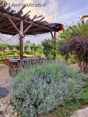 [P19] Zonă de relaxare cu lavandă » foto by crismis
 - 
<span class="allrVoted glyphicon glyphicon-heart hidden" id="av1463624"></span>
<a class="m-l-10 hidden" id="sv1463624" onclick="voting_Foto_DelVot(,1463624,28836)" role="button">șterge vot <span class="glyphicon glyphicon-remove"></span></a>
<a id="v91463624" class=" c-red"  onclick="voting_Foto_SetVot(1463624)" role="button"><span class="glyphicon glyphicon-heart-empty"></span> <b>LIKE</b> = Votează poza</a> <img class="hidden"  id="f1463624W9" src="/imagini/loader.gif" border="0" /><span class="AjErrMes hidden" id="e1463624ErM"></span>
