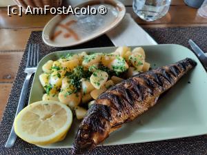 [P27] Cina 1 - păstrăv la grătar cu cartofi natur » foto by crismis
 - 
<span class="allrVoted glyphicon glyphicon-heart hidden" id="av1463632"></span>
<a class="m-l-10 hidden" id="sv1463632" onclick="voting_Foto_DelVot(,1463632,28836)" role="button">șterge vot <span class="glyphicon glyphicon-remove"></span></a>
<a id="v91463632" class=" c-red"  onclick="voting_Foto_SetVot(1463632)" role="button"><span class="glyphicon glyphicon-heart-empty"></span> <b>LIKE</b> = Votează poza</a> <img class="hidden"  id="f1463632W9" src="/imagini/loader.gif" border="0" /><span class="AjErrMes hidden" id="e1463632ErM"></span>