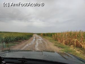 [P40] Drumul prin pustietate » foto by crismis
 - 
<span class="allrVoted glyphicon glyphicon-heart hidden" id="av1463645"></span>
<a class="m-l-10 hidden" id="sv1463645" onclick="voting_Foto_DelVot(,1463645,28836)" role="button">șterge vot <span class="glyphicon glyphicon-remove"></span></a>
<a id="v91463645" class=" c-red"  onclick="voting_Foto_SetVot(1463645)" role="button"><span class="glyphicon glyphicon-heart-empty"></span> <b>LIKE</b> = Votează poza</a> <img class="hidden"  id="f1463645W9" src="/imagini/loader.gif" border="0" /><span class="AjErrMes hidden" id="e1463645ErM"></span>