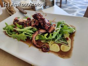 [P09] Cavos Restaurant » foto by crismis
 - 
<span class="allrVoted glyphicon glyphicon-heart hidden" id="av1473036"></span>
<a class="m-l-10 hidden" id="sv1473036" onclick="voting_Foto_DelVot(,1473036,28841)" role="button">șterge vot <span class="glyphicon glyphicon-remove"></span></a>
<a id="v91473036" class=" c-red"  onclick="voting_Foto_SetVot(1473036)" role="button"><span class="glyphicon glyphicon-heart-empty"></span> <b>LIKE</b> = Votează poza</a> <img class="hidden"  id="f1473036W9" src="/imagini/loader.gif" border="0" /><span class="AjErrMes hidden" id="e1473036ErM"></span>