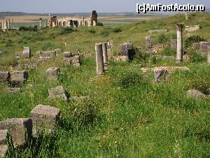 [P03] Volubilis.  » foto by alinaro
 - 
<span class="allrVoted glyphicon glyphicon-heart hidden" id="av686353"></span>
<a class="m-l-10 hidden" id="sv686353" onclick="voting_Foto_DelVot(,686353,28879)" role="button">șterge vot <span class="glyphicon glyphicon-remove"></span></a>
<a id="v9686353" class=" c-red"  onclick="voting_Foto_SetVot(686353)" role="button"><span class="glyphicon glyphicon-heart-empty"></span> <b>LIKE</b> = Votează poza</a> <img class="hidden"  id="f686353W9" src="/imagini/loader.gif" border="0" /><span class="AjErrMes hidden" id="e686353ErM"></span>