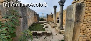 [P29] Volubilis, Casa cu Coloane cu capitelurilor corintice » foto by mprofeanu
 - 
<span class="allrVoted glyphicon glyphicon-heart hidden" id="av1468603"></span>
<a class="m-l-10 hidden" id="sv1468603" onclick="voting_Foto_DelVot(,1468603,28879)" role="button">șterge vot <span class="glyphicon glyphicon-remove"></span></a>
<a id="v91468603" class=" c-red"  onclick="voting_Foto_SetVot(1468603)" role="button"><span class="glyphicon glyphicon-heart-empty"></span> <b>LIKE</b> = Votează poza</a> <img class="hidden"  id="f1468603W9" src="/imagini/loader.gif" border="0" /><span class="AjErrMes hidden" id="e1468603ErM"></span>