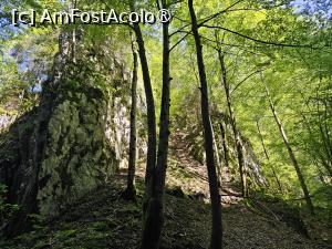 [P12] Mai trebuie uneori mers şi prin pădurea de deasupra apei, de voie-de nevoie » foto by peterminea
 - 
<span class="allrVoted glyphicon glyphicon-heart hidden" id="av1477175"></span>
<a class="m-l-10 hidden" id="sv1477175" onclick="voting_Foto_DelVot(,1477175,28943)" role="button">șterge vot <span class="glyphicon glyphicon-remove"></span></a>
<a id="v91477175" class=" c-red"  onclick="voting_Foto_SetVot(1477175)" role="button"><span class="glyphicon glyphicon-heart-empty"></span> <b>LIKE</b> = Votează poza</a> <img class="hidden"  id="f1477175W9" src="/imagini/loader.gif" border="0" /><span class="AjErrMes hidden" id="e1477175ErM"></span>