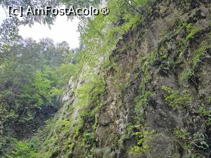 [P13] Altă pantă abruptă, dar cu un verde proaspăt ca primăvara » foto by peterminea
 - 
<span class="allrVoted glyphicon glyphicon-heart hidden" id="av1477176"></span>
<a class="m-l-10 hidden" id="sv1477176" onclick="voting_Foto_DelVot(,1477176,28943)" role="button">șterge vot <span class="glyphicon glyphicon-remove"></span></a>
<a id="v91477176" class=" c-red"  onclick="voting_Foto_SetVot(1477176)" role="button"><span class="glyphicon glyphicon-heart-empty"></span> <b>LIKE</b> = Votează poza</a> <img class="hidden"  id="f1477176W9" src="/imagini/loader.gif" border="0" /><span class="AjErrMes hidden" id="e1477176ErM"></span>
