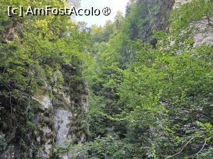 [P15] Atmosferă de Canion cu verdeață » foto by peterminea
 - 
<span class="allrVoted glyphicon glyphicon-heart hidden" id="av1477178"></span>
<a class="m-l-10 hidden" id="sv1477178" onclick="voting_Foto_DelVot(,1477178,28943)" role="button">șterge vot <span class="glyphicon glyphicon-remove"></span></a>
<a id="v91477178" class=" c-red"  onclick="voting_Foto_SetVot(1477178)" role="button"><span class="glyphicon glyphicon-heart-empty"></span> <b>LIKE</b> = Votează poza</a> <img class="hidden"  id="f1477178W9" src="/imagini/loader.gif" border="0" /><span class="AjErrMes hidden" id="e1477178ErM"></span>