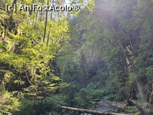 [P17] Verdeață şi bariera naturală din lemn » foto by peterminea
 - 
<span class="allrVoted glyphicon glyphicon-heart hidden" id="av1477180"></span>
<a class="m-l-10 hidden" id="sv1477180" onclick="voting_Foto_DelVot(,1477180,28943)" role="button">șterge vot <span class="glyphicon glyphicon-remove"></span></a>
<a id="v91477180" class=" c-red"  onclick="voting_Foto_SetVot(1477180)" role="button"><span class="glyphicon glyphicon-heart-empty"></span> <b>LIKE</b> = Votează poza</a> <img class="hidden"  id="f1477180W9" src="/imagini/loader.gif" border="0" /><span class="AjErrMes hidden" id="e1477180ErM"></span>