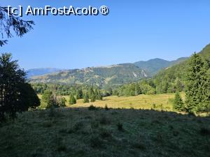[P27] Viața de la cam 1000 de metri, cred că eram deja în zona mai înaltă a traseului » foto by peterminea
 - 
<span class="allrVoted glyphicon glyphicon-heart hidden" id="av1477190"></span>
<a class="m-l-10 hidden" id="sv1477190" onclick="voting_Foto_DelVot(,1477190,28943)" role="button">șterge vot <span class="glyphicon glyphicon-remove"></span></a>
<a id="v91477190" class=" c-red"  onclick="voting_Foto_SetVot(1477190)" role="button"><span class="glyphicon glyphicon-heart-empty"></span> <b>LIKE</b> = Votează poza</a> <img class="hidden"  id="f1477190W9" src="/imagini/loader.gif" border="0" /><span class="AjErrMes hidden" id="e1477190ErM"></span>