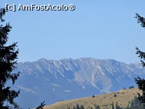 [P28] Chiar că sesmănă a Piatra Craiului! Eram la apogeul altitudinii noastre aici » foto by peterminea
 - 
<span class="allrVoted glyphicon glyphicon-heart hidden" id="av1477191"></span>
<a class="m-l-10 hidden" id="sv1477191" onclick="voting_Foto_DelVot(,1477191,28943)" role="button">șterge vot <span class="glyphicon glyphicon-remove"></span></a>
<a id="v91477191" class=" c-red"  onclick="voting_Foto_SetVot(1477191)" role="button"><span class="glyphicon glyphicon-heart-empty"></span> <b>LIKE</b> = Votează poza</a> <img class="hidden"  id="f1477191W9" src="/imagini/loader.gif" border="0" /><span class="AjErrMes hidden" id="e1477191ErM"></span>