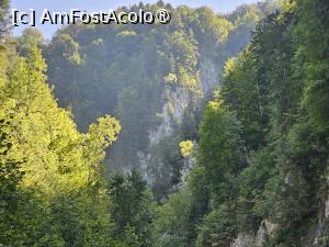 [P08] Natura muntoasă de vară pe Cheile Ghimbavului » foto by peterminea
 - 
<span class="allrVoted glyphicon glyphicon-heart hidden" id="av1477171"></span>
<a class="m-l-10 hidden" id="sv1477171" onclick="voting_Foto_DelVot(,1477171,28943)" role="button">șterge vot <span class="glyphicon glyphicon-remove"></span></a>
<a id="v91477171" class=" c-red"  onclick="voting_Foto_SetVot(1477171)" role="button"><span class="glyphicon glyphicon-heart-empty"></span> <b>LIKE</b> = Votează poza</a> <img class="hidden"  id="f1477171W9" src="/imagini/loader.gif" border="0" /><span class="AjErrMes hidden" id="e1477171ErM"></span>