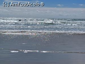 [P19] Oceanul nu departe de Keravéon în timpul fluxului. Vălurelele înaintează încet dar sigur. » foto by BristenaBrad
 - 
<span class="allrVoted glyphicon glyphicon-heart hidden" id="av1481292"></span>
<a class="m-l-10 hidden" id="sv1481292" onclick="voting_Foto_DelVot(,1481292,28972)" role="button">șterge vot <span class="glyphicon glyphicon-remove"></span></a>
<a id="v91481292" class=" c-red"  onclick="voting_Foto_SetVot(1481292)" role="button"><span class="glyphicon glyphicon-heart-empty"></span> <b>LIKE</b> = Votează poza</a> <img class="hidden"  id="f1481292W9" src="/imagini/loader.gif" border="0" /><span class="AjErrMes hidden" id="e1481292ErM"></span>