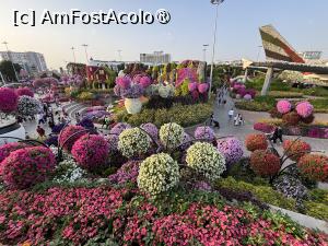 [P18] Miracle Garden Dubai » foto by AZE
 - 
<span class="allrVoted glyphicon glyphicon-heart hidden" id="av1484533"></span>
<a class="m-l-10 hidden" id="sv1484533" onclick="voting_Foto_DelVot(,1484533,28974)" role="button">șterge vot <span class="glyphicon glyphicon-remove"></span></a>
<a id="v91484533" class=" c-red"  onclick="voting_Foto_SetVot(1484533)" role="button"><span class="glyphicon glyphicon-heart-empty"></span> <b>LIKE</b> = Votează poza</a> <img class="hidden"  id="f1484533W9" src="/imagini/loader.gif" border="0" /><span class="AjErrMes hidden" id="e1484533ErM"></span>