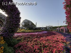 [P30] Miracle Garden Dubai » foto by AZE
 - 
<span class="allrVoted glyphicon glyphicon-heart hidden" id="av1484545"></span>
<a class="m-l-10 hidden" id="sv1484545" onclick="voting_Foto_DelVot(,1484545,28974)" role="button">șterge vot <span class="glyphicon glyphicon-remove"></span></a>
<a id="v91484545" class=" c-red"  onclick="voting_Foto_SetVot(1484545)" role="button"><span class="glyphicon glyphicon-heart-empty"></span> <b>LIKE</b> = Votează poza</a> <img class="hidden"  id="f1484545W9" src="/imagini/loader.gif" border="0" /><span class="AjErrMes hidden" id="e1484545ErM"></span>