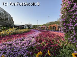 [P32] Miracle Garden Dubai » foto by AZE
 - 
<span class="allrVoted glyphicon glyphicon-heart hidden" id="av1484547"></span>
<a class="m-l-10 hidden" id="sv1484547" onclick="voting_Foto_DelVot(,1484547,28974)" role="button">șterge vot <span class="glyphicon glyphicon-remove"></span></a>
<a id="v91484547" class=" c-red"  onclick="voting_Foto_SetVot(1484547)" role="button"><span class="glyphicon glyphicon-heart-empty"></span> <b>LIKE</b> = Votează poza</a> <img class="hidden"  id="f1484547W9" src="/imagini/loader.gif" border="0" /><span class="AjErrMes hidden" id="e1484547ErM"></span>