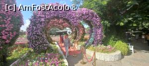 [P01] MIRACLE GARDEN - o grădină ruptă din Rai! » foto by elenaadina
 - 
<span class="allrVoted glyphicon glyphicon-heart hidden" id="av1415068"></span>
<a class="m-l-10 hidden" id="sv1415068" onclick="voting_Foto_DelVot(,1415068,28974)" role="button">șterge vot <span class="glyphicon glyphicon-remove"></span></a>
<a id="v91415068" class=" c-red"  onclick="voting_Foto_SetVot(1415068)" role="button"><span class="glyphicon glyphicon-heart-empty"></span> <b>LIKE</b> = Votează poza</a> <img class="hidden"  id="f1415068W9" src="/imagini/loader.gif" border="0" /><span class="AjErrMes hidden" id="e1415068ErM"></span>