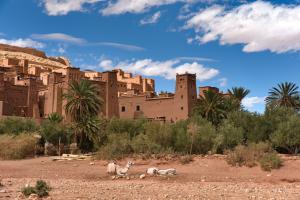 [P29] Ait Ben Haddou » foto by adso <span class="label label-default labelC_thin small">NEVOTABILĂ</span>