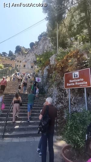 [P02] Spre sanctuarul Santa Rosalia » foto by dorgo
 - 
<span class="allrVoted glyphicon glyphicon-heart hidden" id="av1504022"></span>
<a class="m-l-10 hidden" id="sv1504022" onclick="voting_Foto_DelVot(,1504022,29017)" role="button">șterge vot <span class="glyphicon glyphicon-remove"></span></a>
<a id="v91504022" class=" c-red"  onclick="voting_Foto_SetVot(1504022)" role="button"><span class="glyphicon glyphicon-heart-empty"></span> <b>LIKE</b> = Votează poza</a> <img class="hidden"  id="f1504022W9" src="/imagini/loader.gif" border="0" /><span class="AjErrMes hidden" id="e1504022ErM"></span>