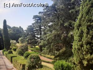 [P13] Villa Barberini » foto by adso
 - 
<span class="allrVoted glyphicon glyphicon-heart hidden" id="av1491957"></span>
<a class="m-l-10 hidden" id="sv1491957" onclick="voting_Foto_DelVot(,1491957,29060)" role="button">șterge vot <span class="glyphicon glyphicon-remove"></span></a>
<a id="v91491957" class=" c-red"  onclick="voting_Foto_SetVot(1491957)" role="button"><span class="glyphicon glyphicon-heart-empty"></span> <b>LIKE</b> = Votează poza</a> <img class="hidden"  id="f1491957W9" src="/imagini/loader.gif" border="0" /><span class="AjErrMes hidden" id="e1491957ErM"></span>
