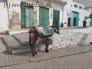 [P04] Moulay Idriss » foto by adso
 - 
<span class="allrVoted glyphicon glyphicon-heart hidden" id="av1494376"></span>
<a class="m-l-10 hidden" id="sv1494376" onclick="voting_Foto_DelVot(,1494376,29084)" role="button">șterge vot <span class="glyphicon glyphicon-remove"></span></a>
<a id="v91494376" class=" c-red"  onclick="voting_Foto_SetVot(1494376)" role="button"><span class="glyphicon glyphicon-heart-empty"></span> <b>LIKE</b> = Votează poza</a> <img class="hidden"  id="f1494376W9" src="/imagini/loader.gif" border="0" /><span class="AjErrMes hidden" id="e1494376ErM"></span>