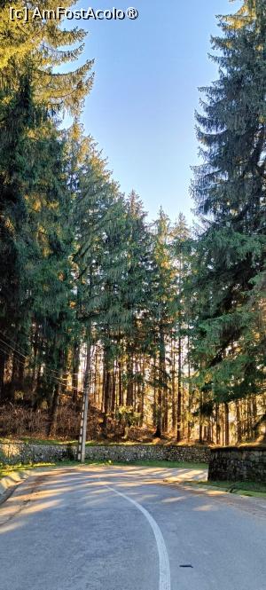 [P22] Serpentine și parc. » foto by tata123 🔱
 - 
<span class="allrVoted glyphicon glyphicon-heart hidden" id="av1516869"></span>
<a class="m-l-10 hidden" id="sv1516869" onclick="voting_Foto_DelVot(,1516869,29123)" role="button">șterge vot <span class="glyphicon glyphicon-remove"></span></a>
<a id="v91516869" class=" c-red"  onclick="voting_Foto_SetVot(1516869)" role="button"><span class="glyphicon glyphicon-heart-empty"></span> <b>LIKE</b> = Votează poza</a> <img class="hidden"  id="f1516869W9" src="/imagini/loader.gif" border="0" /><span class="AjErrMes hidden" id="e1516869ErM"></span>