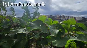 [P14] vedere de pe balcon » foto by robert
 - 
<span class="allrVoted glyphicon glyphicon-heart hidden" id="av1500192"></span>
<a class="m-l-10 hidden" id="sv1500192" onclick="voting_Foto_DelVot(,1500192,29135)" role="button">șterge vot <span class="glyphicon glyphicon-remove"></span></a>
<a id="v91500192" class=" c-red"  onclick="voting_Foto_SetVot(1500192)" role="button"><span class="glyphicon glyphicon-heart-empty"></span> <b>LIKE</b> = Votează poza</a> <img class="hidden"  id="f1500192W9" src="/imagini/loader.gif" border="0" /><span class="AjErrMes hidden" id="e1500192ErM"></span>