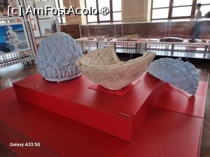 [P15] Cazinoul din Constanța » foto by nicole33
 - 
<span class="allrVoted glyphicon glyphicon-heart hidden" id="av1517344"></span>
<a class="m-l-10 hidden" id="sv1517344" onclick="voting_Foto_DelVot(,1517344,29149)" role="button">șterge vot <span class="glyphicon glyphicon-remove"></span></a>
<a id="v91517344" class=" c-red"  onclick="voting_Foto_SetVot(1517344)" role="button"><span class="glyphicon glyphicon-heart-empty"></span> <b>LIKE</b> = Votează poza</a> <img class="hidden"  id="f1517344W9" src="/imagini/loader.gif" border="0" /><span class="AjErrMes hidden" id="e1517344ErM"></span>